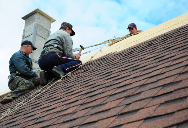 Best Roof Gutter Cleaning  in Soulsbyville, CA